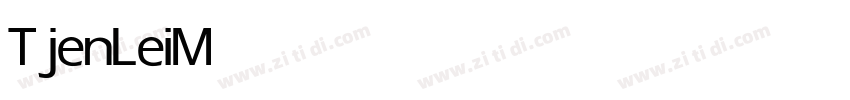 TjenLei Medium字体转换